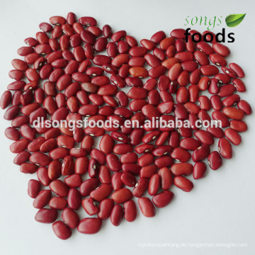 äthiopische rote Kidneybohnen